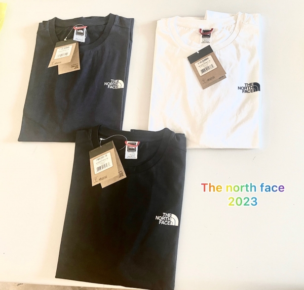 T-shirt North Face uomo